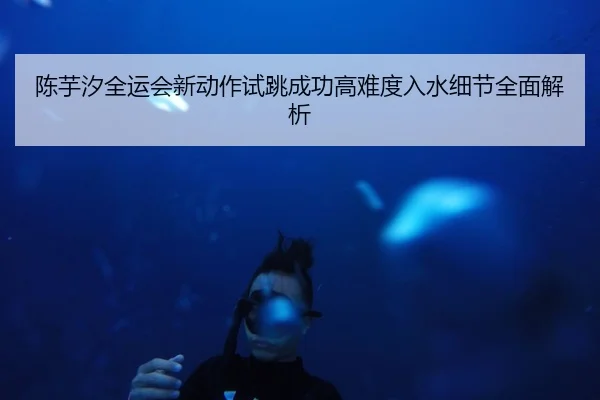 陈芋汐全运会新动作试跳成功高难度入水细节全面解析